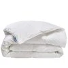 BLEU CALIN Couette Chaude 230g/m2 90% Duvet De Canard 200x200cm