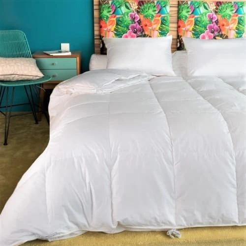 Castex Couette Naturelle 2 En 1 Duvet D’oie Et Coton Bio King Size 300x250 4 Castex Couette Naturelle 2 En 1 Duvet D’oie Et Coton Bio King Size 300x250 – Image 2