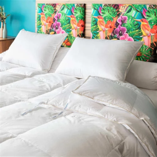 Castex Couette Naturelle 2 En 1 Duvet D’oie Et Coton Bio King Size 300x250 5 Castex Couette Naturelle 2 En 1 Duvet D’oie Et Coton Bio King Size 300x250 – Image 3