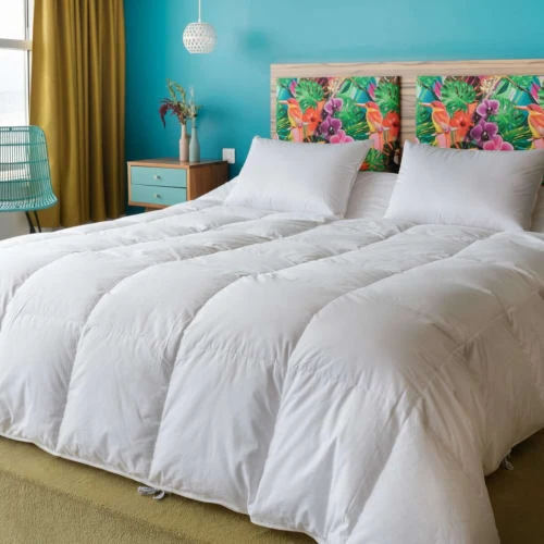 Castex Couette Naturelle 2 En 1 Gonflante Duvet D’oie Et Coton Bio 240x220 4 Castex Couette Naturelle 2 En 1 Gonflante Duvet D’oie Et Coton Bio 240x220 – Image 2