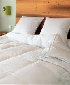 Castex Couette Naturelle 2 En 1 Gonflante En Duvet Et Coton Bio 200x200 Cm -Boutique Maisons du Monde couette naturelle 2 en 1 gonflante en duvet et coton bio 200x200 cm 2