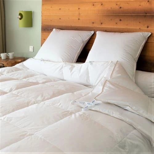 Castex Couette Naturelle 2 En 1 Gonflante En Duvet Et Coton Bio 260x240 Cm 5 Castex Couette Naturelle 2 En 1 Gonflante En Duvet Et Coton Bio 260x240 Cm – Image 3