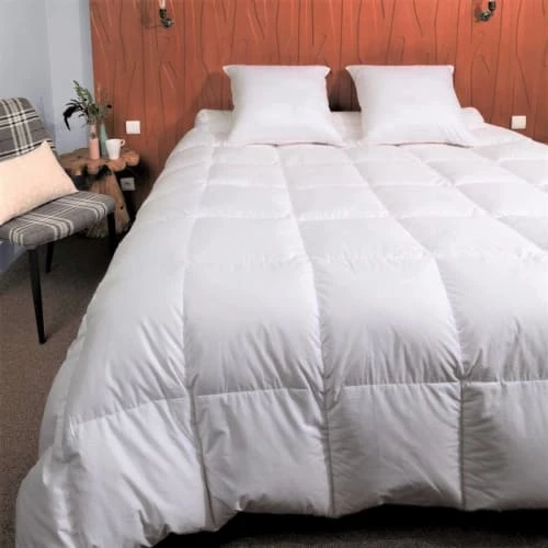 Castex Couette Naturelle Chaude Duvet D’oie Et Coton Bio King Size 300x250 4 Castex Couette Naturelle Chaude Duvet D’oie Et Coton Bio King Size 300x250 – Image 2