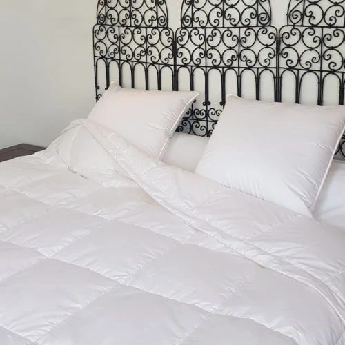 Castex Couette Naturelle Fine En Duvet Et Coton Bio King Size 280x240 Cm 5 Castex Couette Naturelle Fine En Duvet Et Coton Bio King Size 280x240 Cm – Image 3