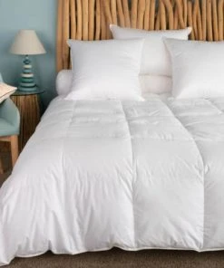 Castex Couette Naturelle Légère En Duvet Et Coton Bio King Size 300x250 Cm -Boutique Maisons du Monde couette naturelle legere en duvet et coton bio king size 300x250 cm 1