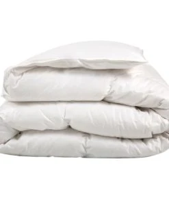 Castex Couette Naturelle Tempérée Duvet D’oie Et Coton Bio 240x220 Cm