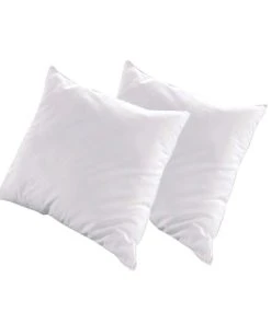 Olympe Lot De 2 Oreillers 60x60 Duvet & Plumes Mi-fermes
