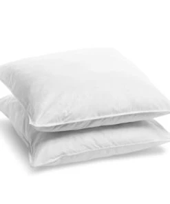 BLEU CALIN Lot De 2 Oreillers Mémoire De Forme Mixte 60x60cm