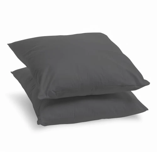 BLEU CALIN Lot De 2 Oreillers Moelleux Déco Gris 60x60cm 3 BLEU CALIN Lot De 2 Oreillers Moelleux Déco Gris 60x60cm