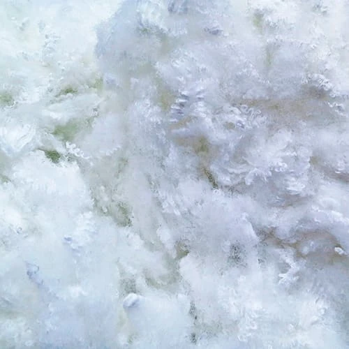 Bellecour Lot De 4 Oreillers 40x60 Fibres Creuses 4 Bellecour Lot De 4 Oreillers 40x60 Fibres Creuses – Image 2