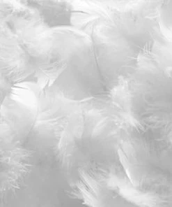 Olympe Oreiller 45x70 Duvet & Plumes Mi-ferme 7 Olympe Oreiller 45x70 Duvet & Plumes Mi-ferme -Boutique Maisons du Monde oreiller 45x70 duvet plumes mi ferme 2