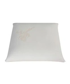 Olympe Oreiller 60x60 Mémoire De Forme