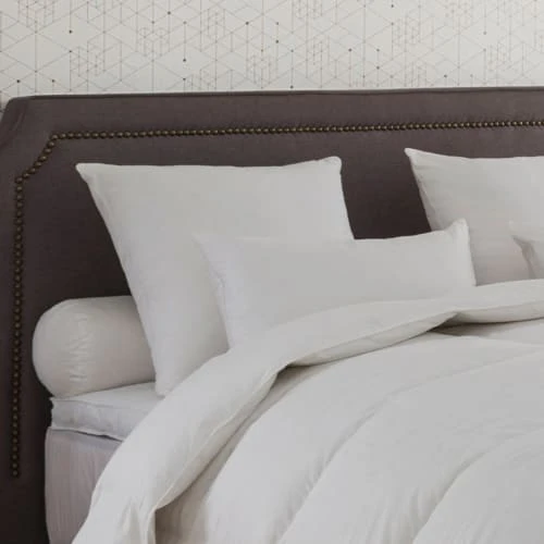 Drouault Oreiller Alaska 40% Duvet - MEDIUM 60x60 Cm 4 Drouault Oreiller Alaska 40% Duvet - MEDIUM 60x60 Cm – Image 2