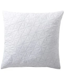 Becquet Oreiller Anatomique Mémoire De Forme En Coton 60x60