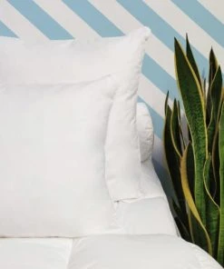 WAKE ME GREEN Oreiller FERME 10% Duvet Anti-acariens - Coton Bio 65x65 Cm 11 WAKE ME GREEN Oreiller FERME 10% Duvet Anti-acariens - Coton Bio 65x65 Cm -Boutique Maisons du Monde oreiller ferme 10 duvet anti acariens coton bio 65x65 cm 4