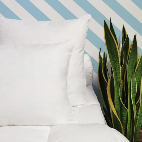 WAKE ME GREEN Oreiller FERME 10% Duvet Anti-acariens - Coton Bio 65x65 Cm 7 WAKE ME GREEN Oreiller FERME 10% Duvet Anti-acariens - Coton Bio 65x65 Cm – Image 5