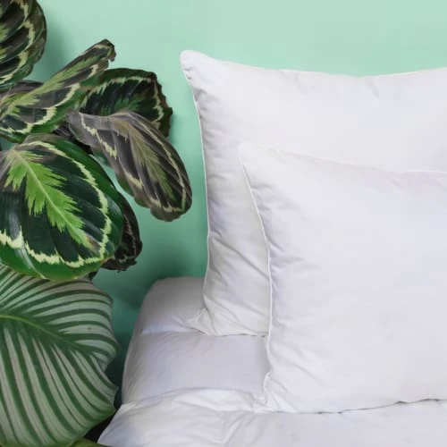 WAKE ME GREEN Oreiller FERME 10% Duvet - Coton Bio 50x75 Cm 7 WAKE ME GREEN Oreiller FERME 10% Duvet - Coton Bio 50x75 Cm – Image 5