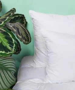 WAKE ME GREEN Oreiller FERME 10% Duvet - Coton Bio 65x65 Cm -Boutique Maisons du Monde oreiller ferme 10 duvet coton bio 65x65 cm 4