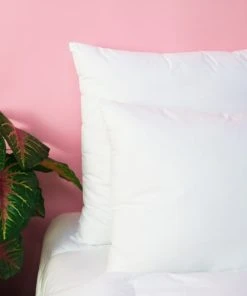 WAKE ME GREEN Oreiller FERME Extra-Doux - Coton Bio 60x60 Cm 11 WAKE ME GREEN Oreiller FERME Extra-Doux - Coton Bio 60x60 Cm -Boutique Maisons du Monde oreiller ferme extra doux coton bio 60x60 cm 4