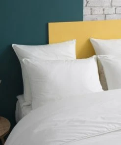 WAKE ME GREEN Oreiller FERME Gonflant Durable - Coton Bio 50x70 Cm 8 WAKE ME GREEN Oreiller FERME Gonflant Durable - Coton Bio 50x70 Cm -Boutique Maisons du Monde oreiller ferme gonflant durable coton bio 50x70 cm 1