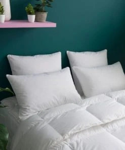 WAKE ME GREEN Oreiller MEDIUM 30% Duvet Anti-acariens - Coton Bio 65x65 Cm -Boutique Maisons du Monde oreiller medium 30 duvet anti acariens coton bio 65x65 cm 4