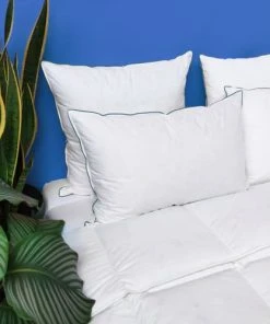 WAKE ME GREEN Oreiller MEDIUM 40% Duvet - Coton Bio 65x65 Cm -Boutique Maisons du Monde oreiller medium 40 duvet coton bio 65x65 cm 1