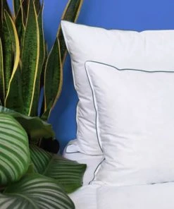 WAKE ME GREEN Oreiller MEDIUM 40% Duvet - Coton Bio 65x65 Cm -Boutique Maisons du Monde oreiller medium 40 duvet coton bio 65x65 cm 4