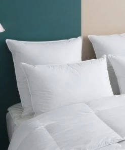 WAKE ME GREEN Oreiller MEDIUM 70% Duvet - Coton 50x75 Cm -Boutique Maisons du Monde oreiller medium 70 duvet coton 50x75 cm 1