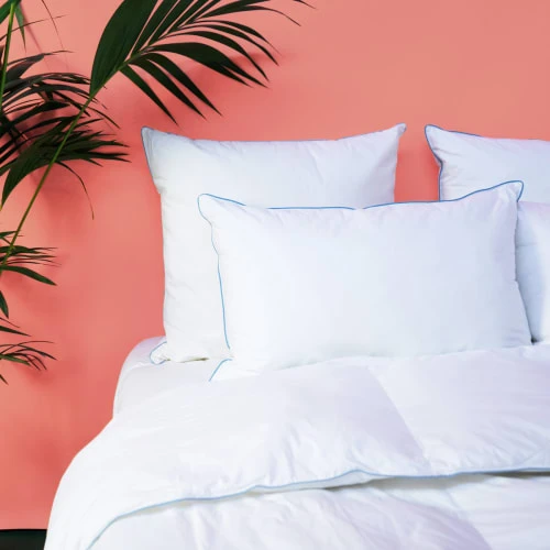 WAKE ME GREEN Oreiller MEDIUM Fibre Ergonomique - Coton Bio 60x60 Cm 4 WAKE ME GREEN Oreiller MEDIUM Fibre Ergonomique - Coton Bio 60x60 Cm – Image 2