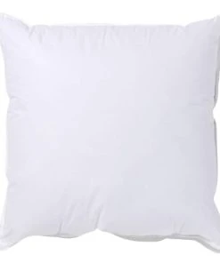 BLEU CALIN Oreiller Moelleux 60x60cm Gonflant 100% COTON