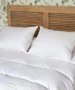 Castex Oreiller Naturel Moelleux En Duvet Et Coton Bio 50x70 Cm -Boutique Maisons du Monde oreiller naturel moelleux en duvet et coton bio 50x70 cm 2