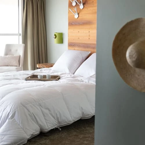 Castex Oreiller Naturel Moelleux En Duvet Et Coton Bio 60x60 Cm 5 Castex Oreiller Naturel Moelleux En Duvet Et Coton Bio 60x60 Cm – Image 3