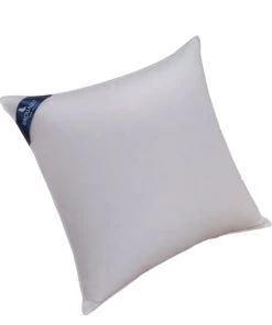 Drouault Oreiller Népal - 70% Duvet Canard - MOELLEUX 65x65 Cm