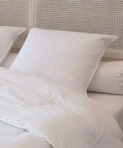 Castex Oreiller Plat Naturel Moelleux En Plumes Et Duvet 50x70 Cm -Boutique Maisons du Monde oreiller plat naturel moelleux en plumes et duvet 50x70 cm 1