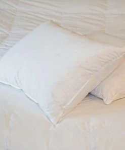 Castex Oreiller Plat Naturel Moelleux En Plumes Et Duvet 50x70 Cm -Boutique Maisons du Monde oreiller plat naturel moelleux en plumes et duvet 50x70 cm 2