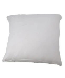 Castex Oreiller Plat Naturel Moelleux En Plumes Et Duvet 65x65 Cm