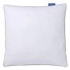BLEU CALIN Oreiller Ultra Moelleux 65x65cm COTON PERCALE 1 BLEU CALIN Oreiller Ultra Moelleux 65x65cm COTON PERCALE -Boutique Maisons du Monde oreiller ultra moelleux 65x65cm coton percale