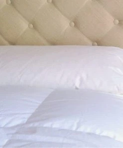 Castex Traversin Plat Naturel Moelleux En Plumes Et Duvet 160 Cm -Boutique Maisons du Monde traversin plat naturel moelleux en plumes et duvet 160 cm 1